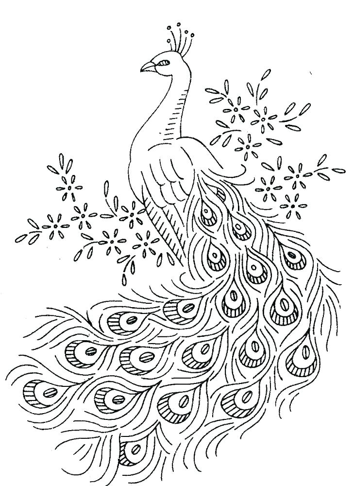 729x1000 Printable Turkey Feather Coloring Pages Page Henna Peacock Birds