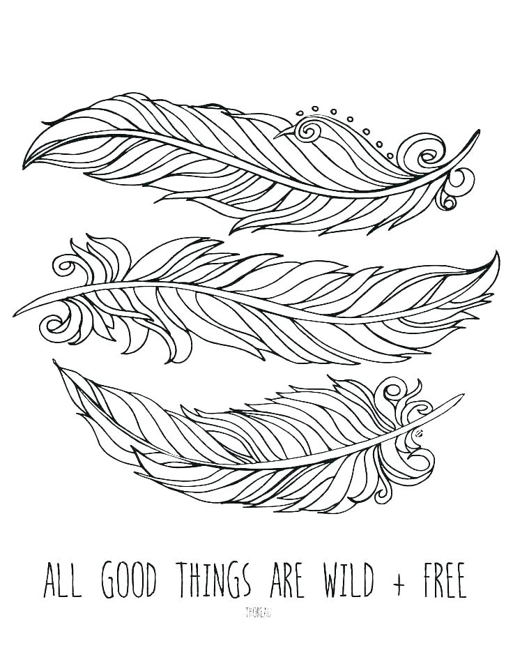 736x952 Peacock Feathers Coloring Pages