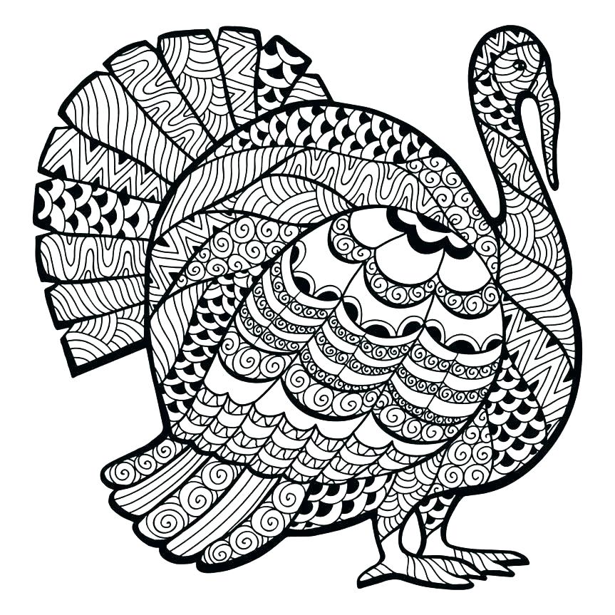 863x863 Turkey Coloring Pages For Preschoolers With Coloring Pages