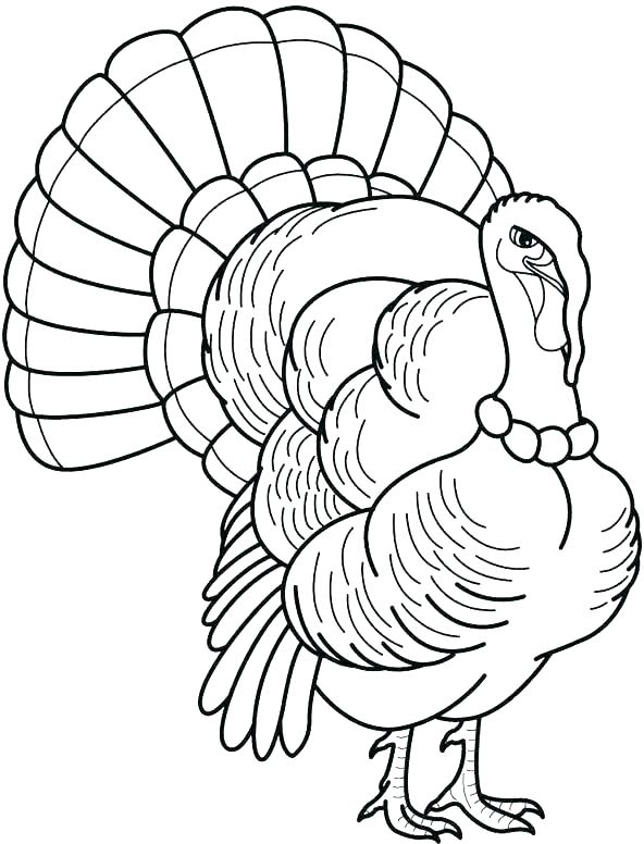 592x776 Coloring Page Of A Turkey