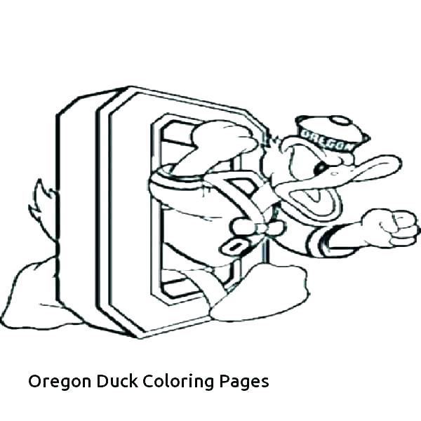 600x600 Hunting Coloring Pages Deer Hunting Coloring Pages Hunting