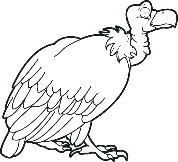 700x636 Free Printable Vulture Coloring Page For Kids For Vulture X Turkey