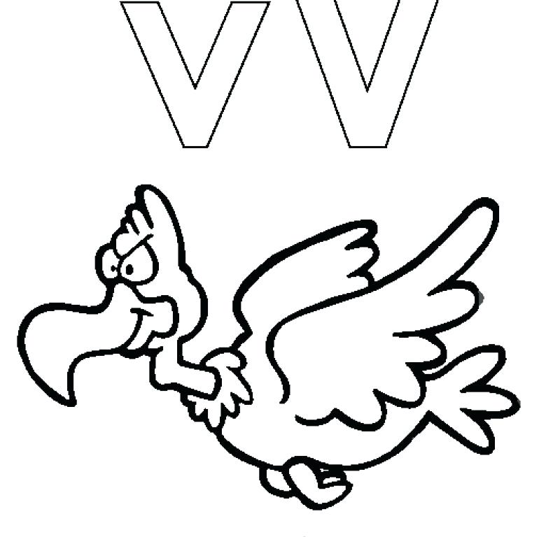 800x768 Vulture Coloring Pages Cute Coloring Letter V Is For Vulture