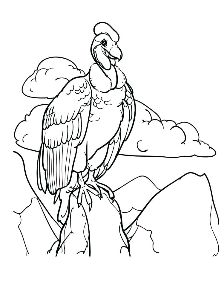 750x1000 Vulture Coloring Pages Download And Print Vulture Coloring Pages