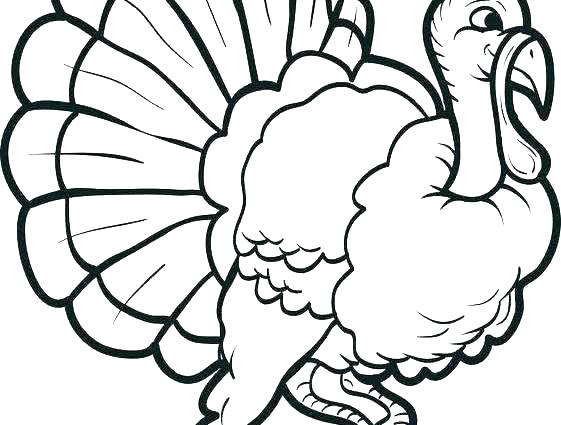 561x425 Vulture Coloring Pages Vultures Birds Coloring Pages Turkey