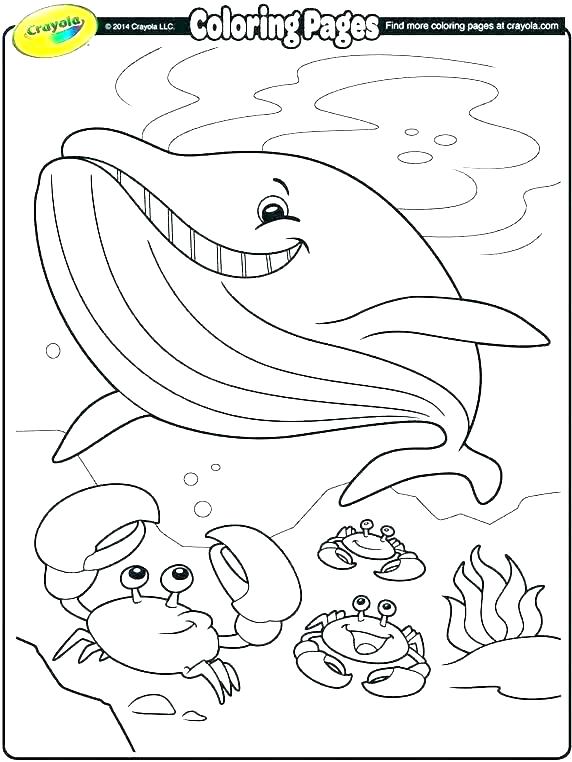 572x762 Crayola Coloring Pages From Photos Crayola Color Pages Crayola