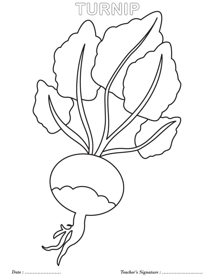 738x954 Turnip Coloring Page Giant Turnip Classroom Ideas