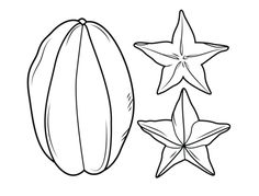 236x179 Turnip Line Drawings