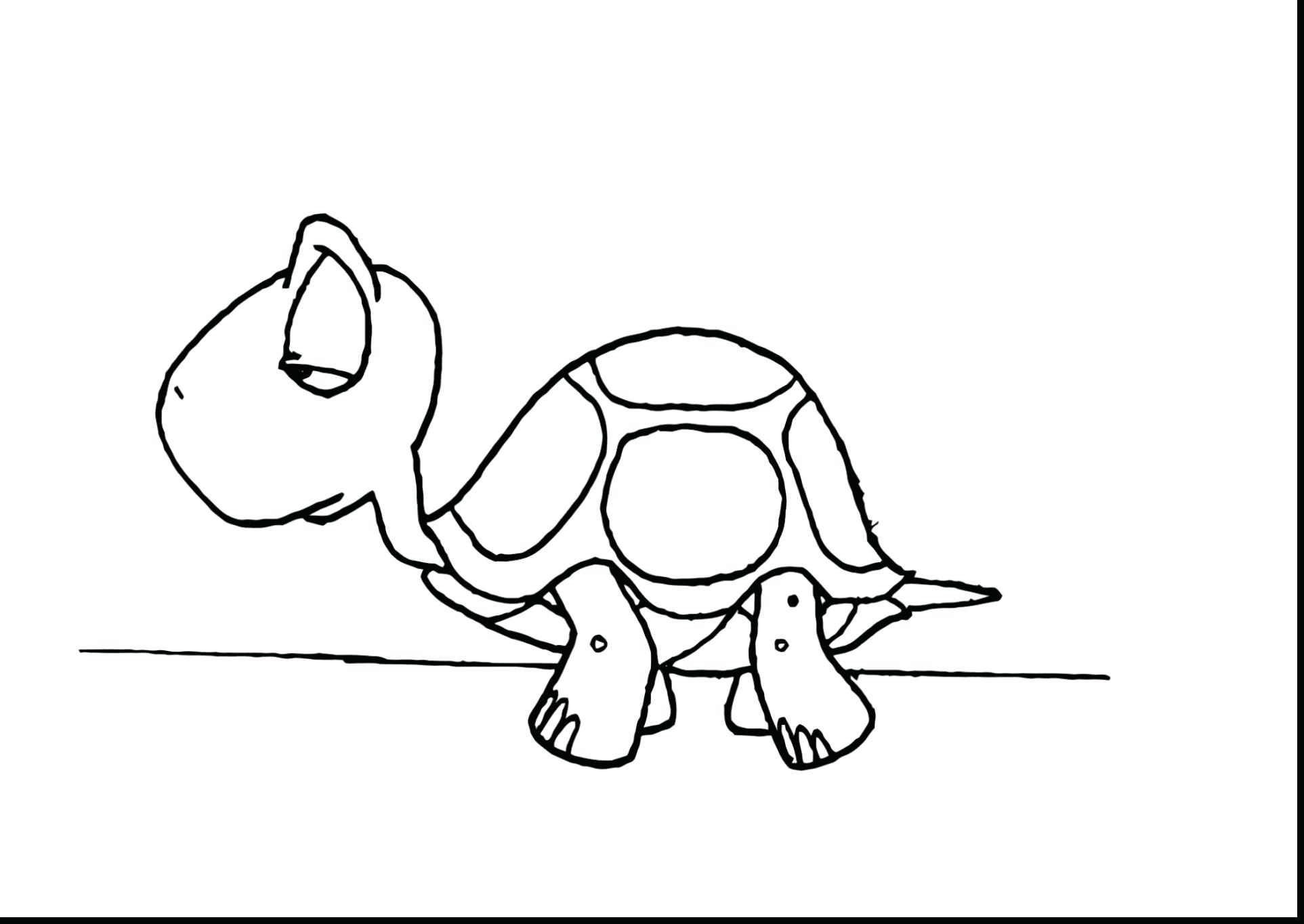 1925x1364 Coloring Pages For Adults Easy Amazing Black And White Lizard Page