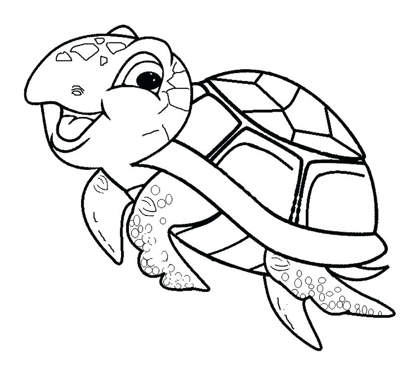 850x747 Cartoon Turtle Coloring Pages Transasia