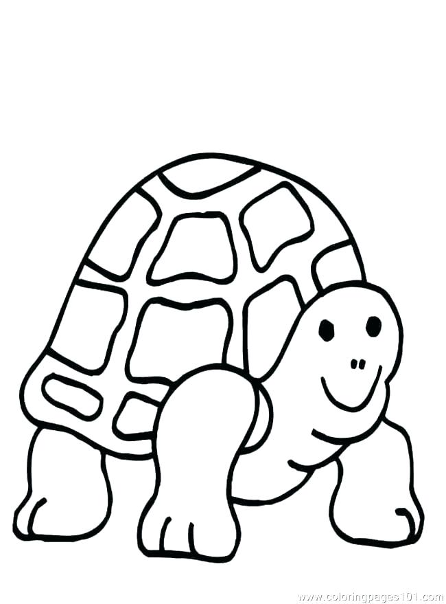 650x879 Coloring Printable Coloring Pages Ninja Turtles Cartoon Turtle