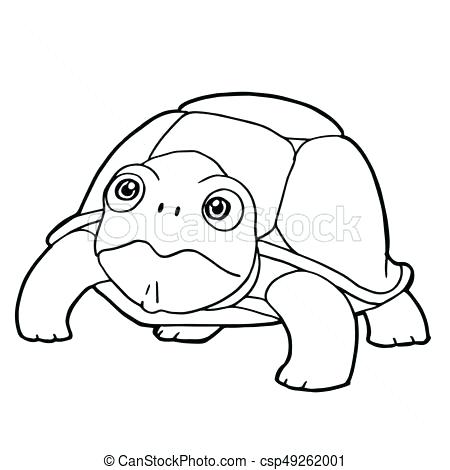 450x470 Cartoon Turtle Coloring Pages Turtle Coloring Book Plus Special