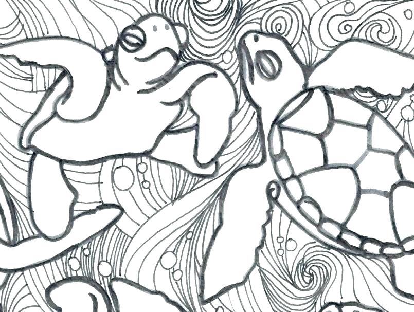 805x607 Coloring Pages Turtles Ninja Ninja Coloring Pages Printable Adult