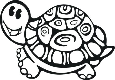 476x333 Painted Turtle Coloring Page Cute Turtle Coloring Pages For Kids