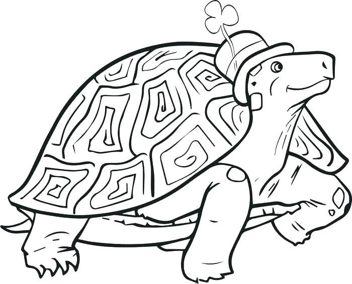 700x566 Printable Turtle Coloring Pages For Adults Download Ninja Turtles