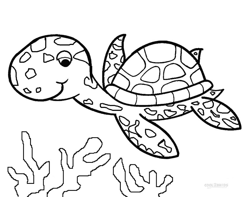 850x675 Sea Turtle Coloring Pages Printable Sea Turtle Coloring Pages
