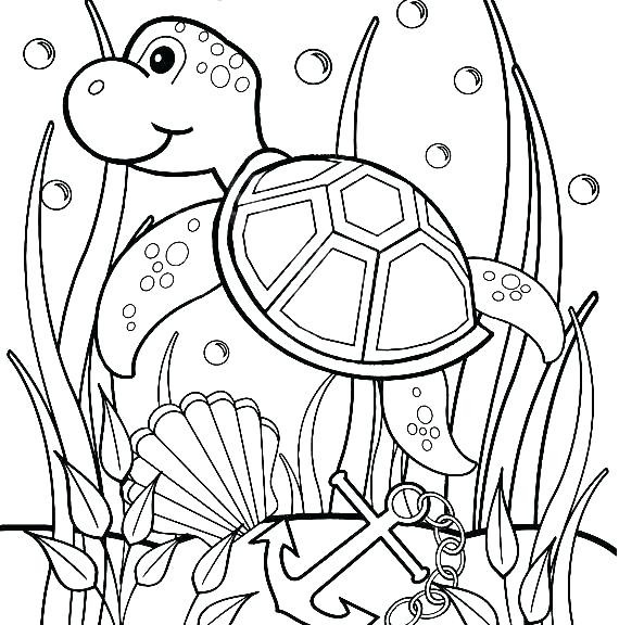 570x576 Turtle Coloring Sheet Drawn Page Pencil And In Color Fine Pages