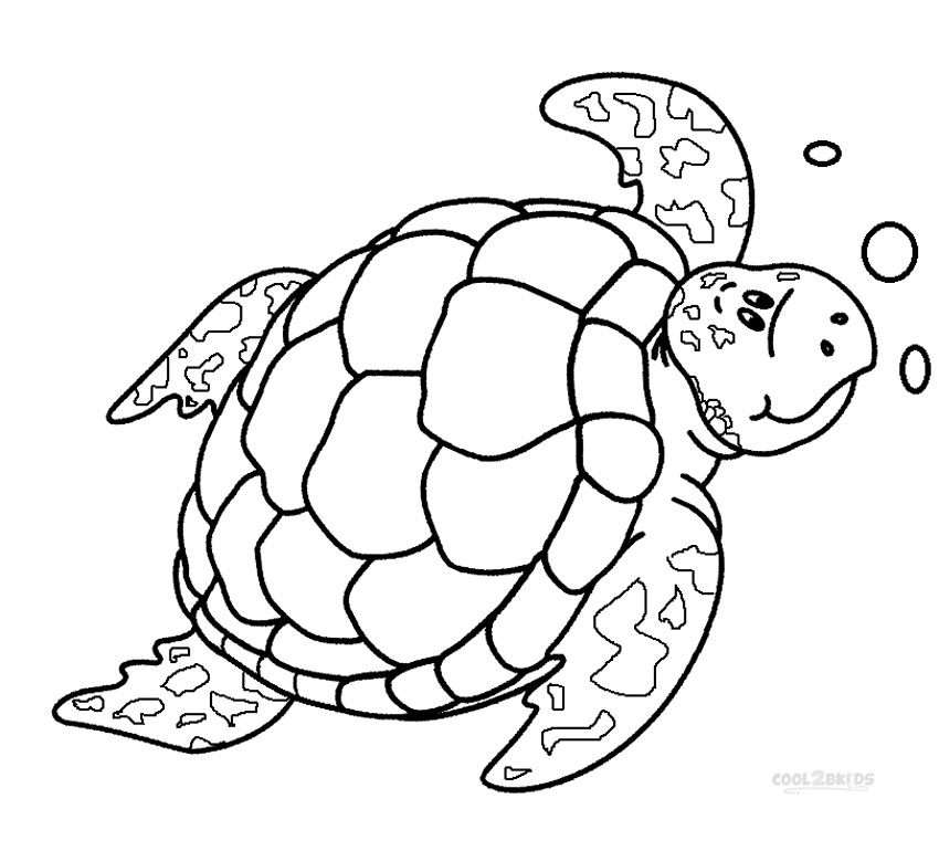 850x770 Sea Turtle Coloring Pages Printable Sea Turtle Coloring Pages Sea