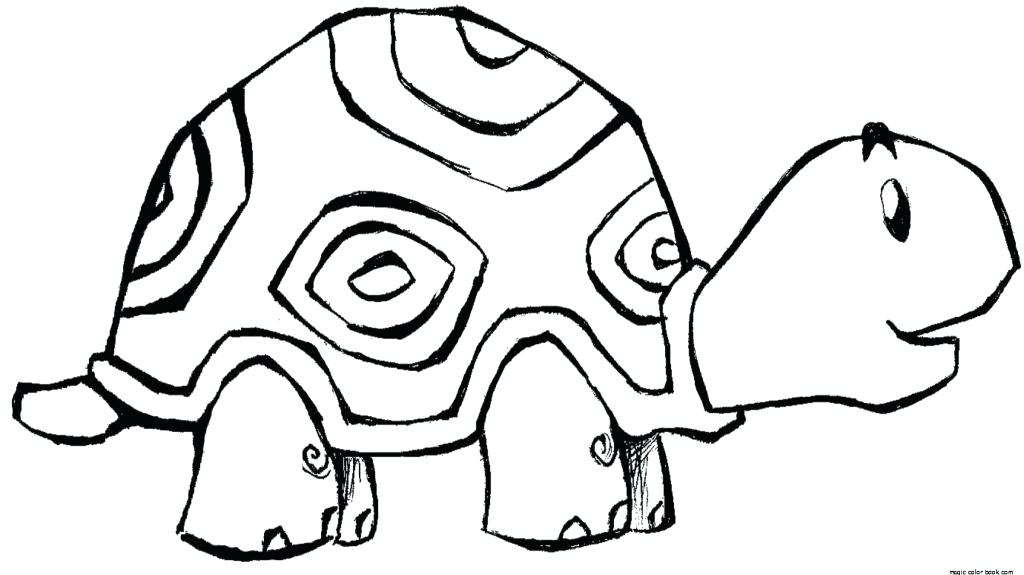 1024x575 Or Hare Tortoise Coloring Pages