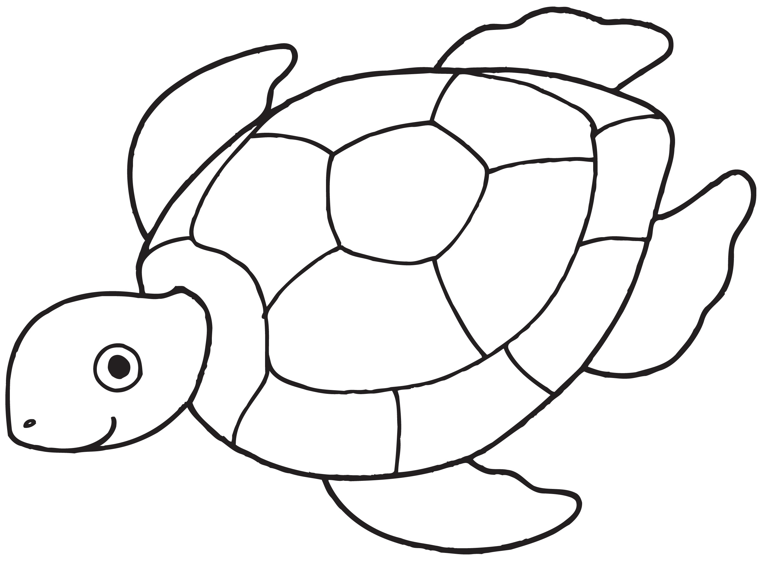 2550x1876 Sea Turtle Coloring Pages For Preschooler