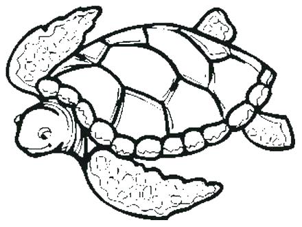 440x330 Turtle Mask Coloring Page Ninja Turtle Coloring Pages Turtles Com