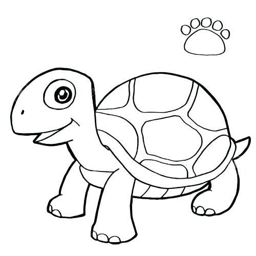 500x500 Template Turtle Shell Kids Coloring Printable Turtle Coloring