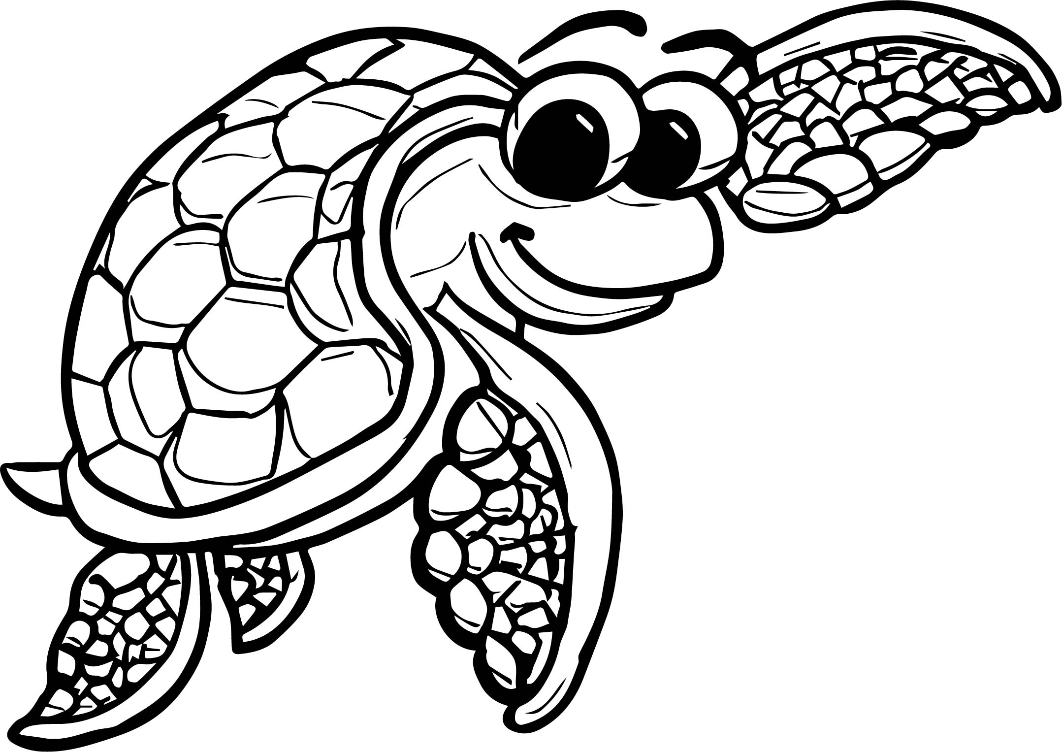 2157x1527 Turtle Shell Coloring Pages