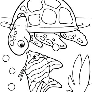 300x300 Turtle Shell Coloring Pages New Turtle Shell Coloring Pages Best