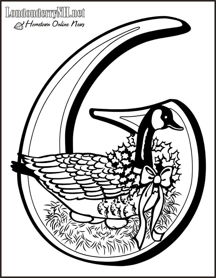 736x950 Best Days Of Christmas Images On Days