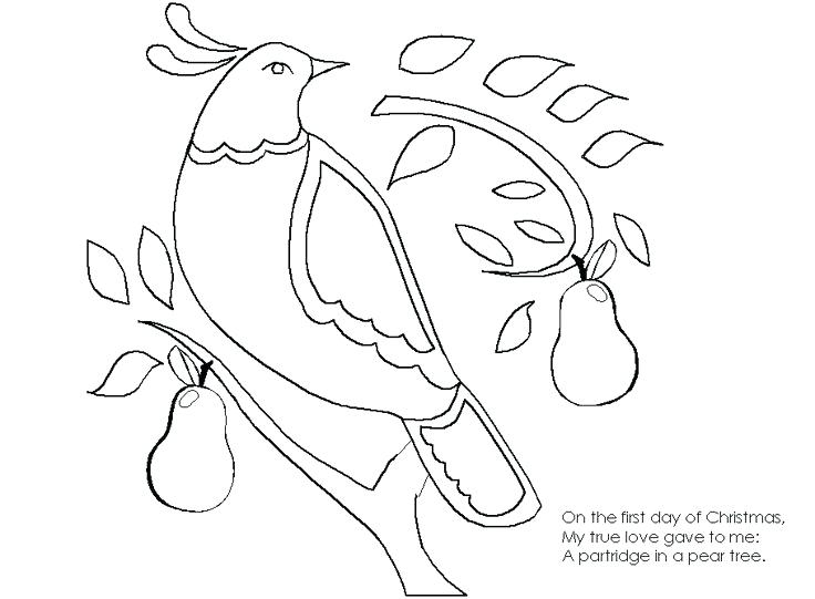 736x541 Twelve Days Christmas Coloring Pages On The First Day
