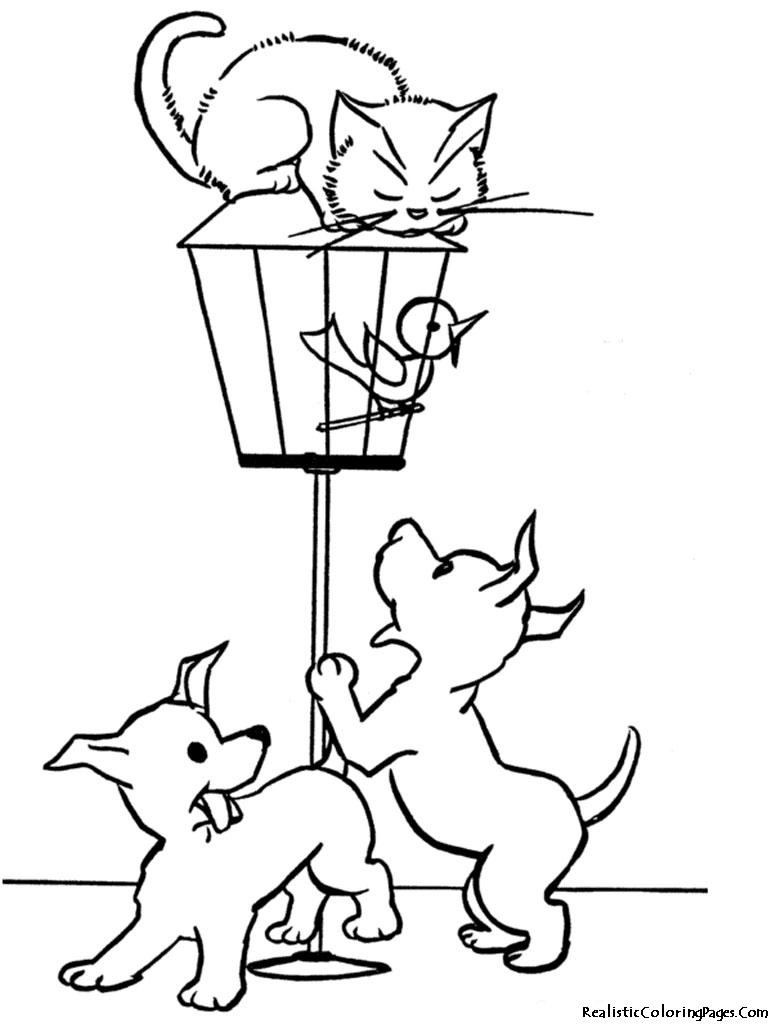 768x1024 Cat And Dog Realistic Coloring Pages With Cats Dogs