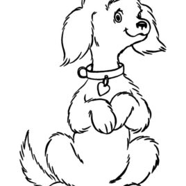 268x268 Choke Chain Dog Collar Coloring Pages Free Printable Coloring