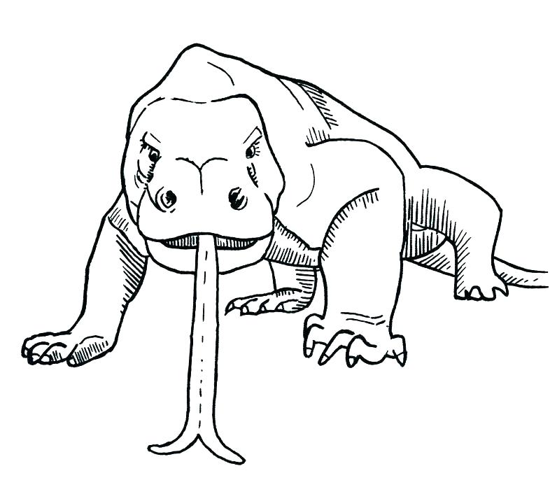 796x696 Komodo Dragon Coloring Pages Dragon Coloring Page Dragon Coloring