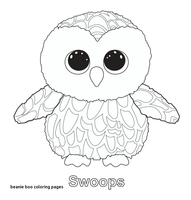 736x773 Ty Beanie Coloring Pages Best Ty Beanies Images