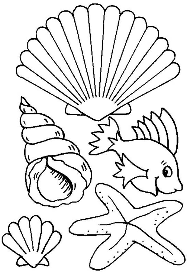 600x879 Different Types Of Sea Creature And Seashell Coloring Page