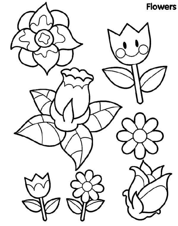 600x761 Type Of Spring Flower Coloring Page Color Luna