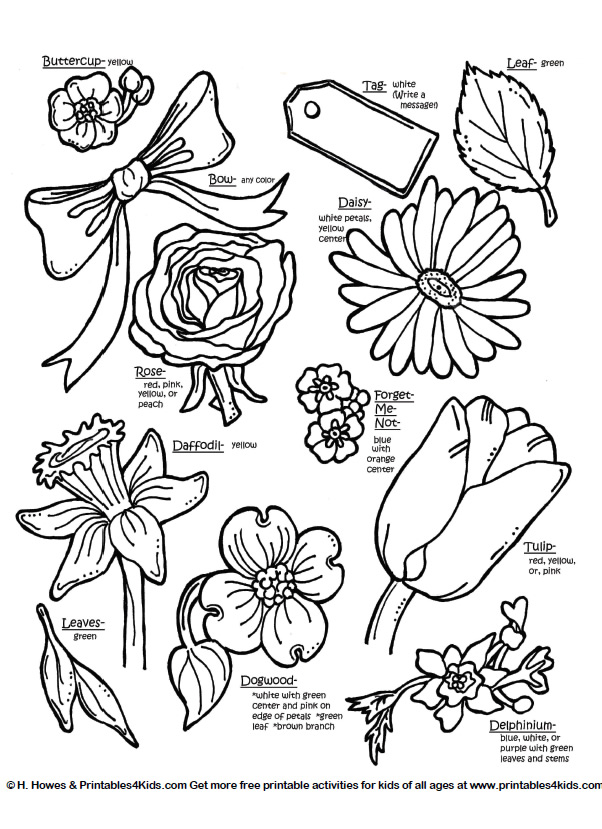 602x829 Types Of Flowers Coloring Pages