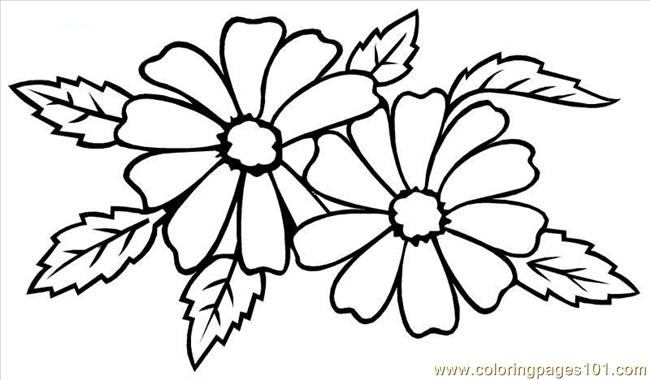 650x380 Types Of Wedding Flowers Coloring Page
