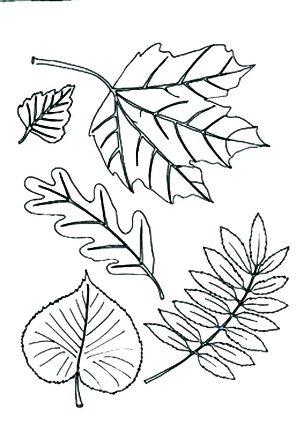 600x860 Different Coloring Pages