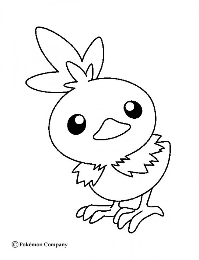 651x850 Little Torchic Coloring Pages