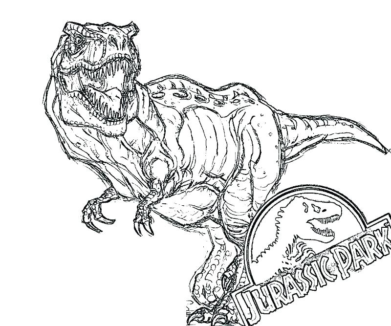 800x667 Coloring Pages Best Coloring Pages For Kids T Coloring Page T Rex