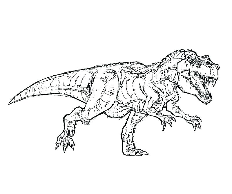 800x667 Tyrannosaurus Rex Coloring Page Amazing Tyrannosaurus Coloring