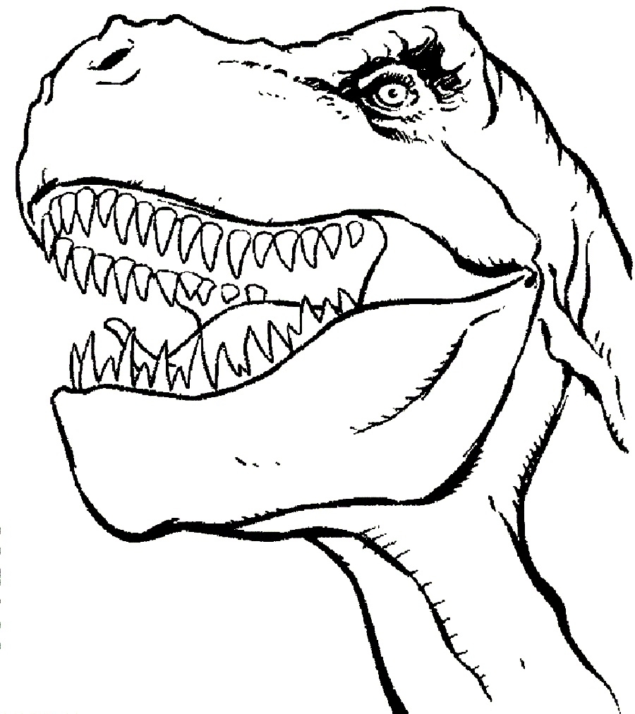 900x1012 T Rex Coloring Pictures Printable