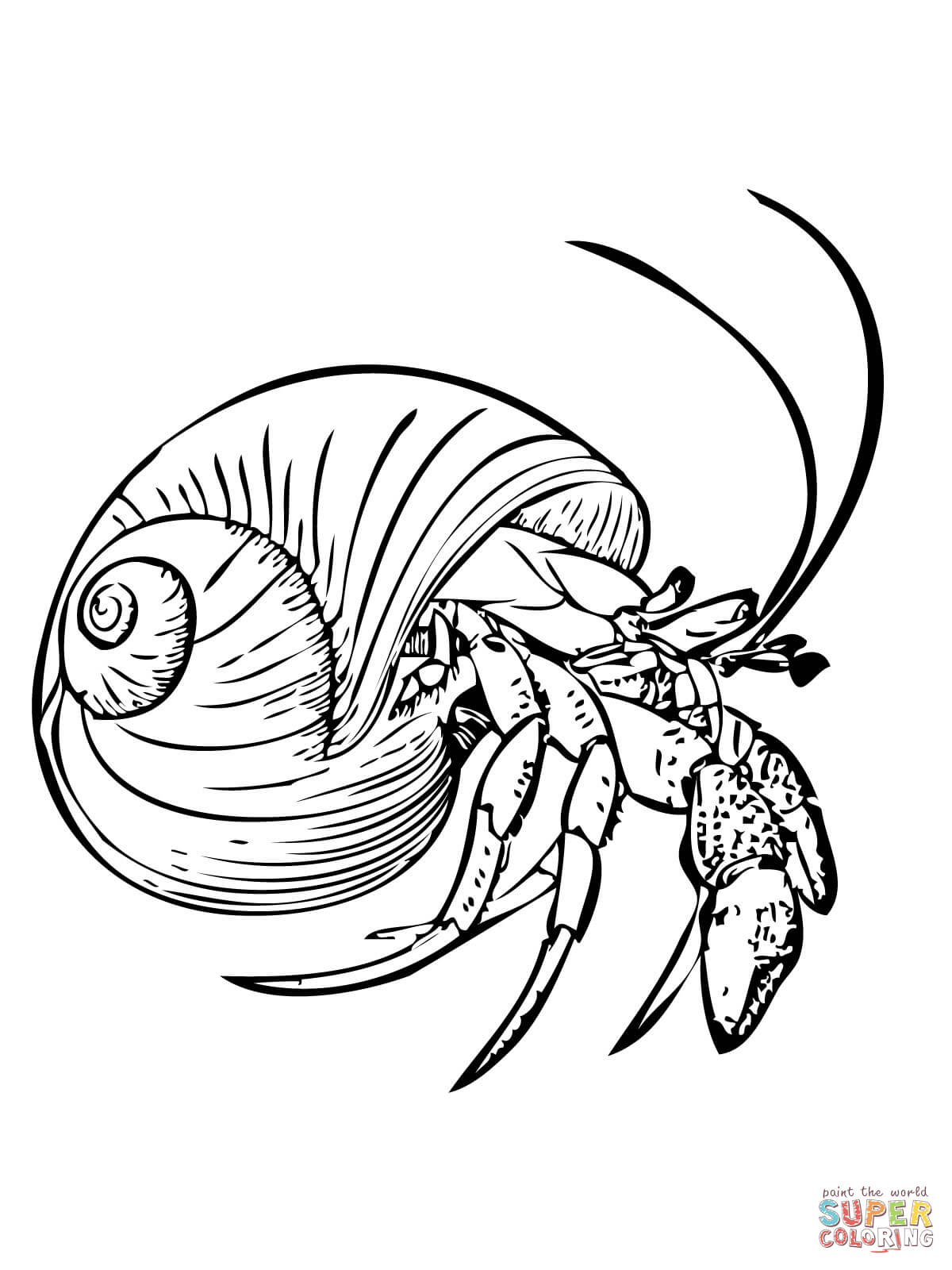 1200x1600 Part Free Coloring Pages Website