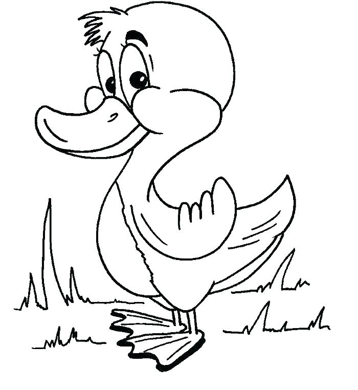 700x762 The Ugly Duckling Coloring Book Pages Duck Also Cute Pag