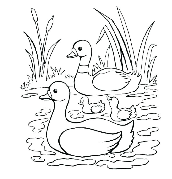 728x760 Ugly Duckling Coloring Pages Luxury And Coloring Page Crayola