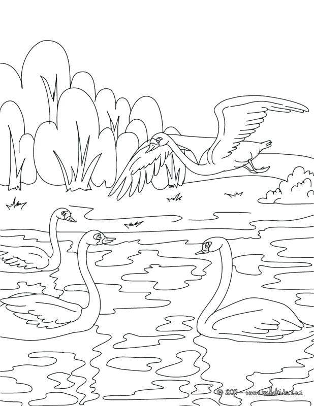 618x800 Ugly Duckling Coloring Pages The Ugly Duckling Coloring Pages