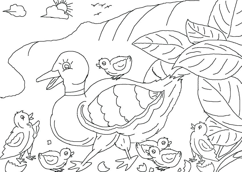 850x604 Ugly Duckling Coloring Pages