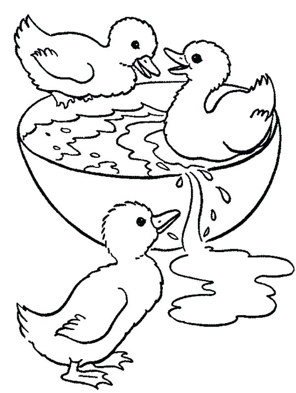 600x798 Duckling Coloring Page Duckling Coloring Page Ugly Duckling