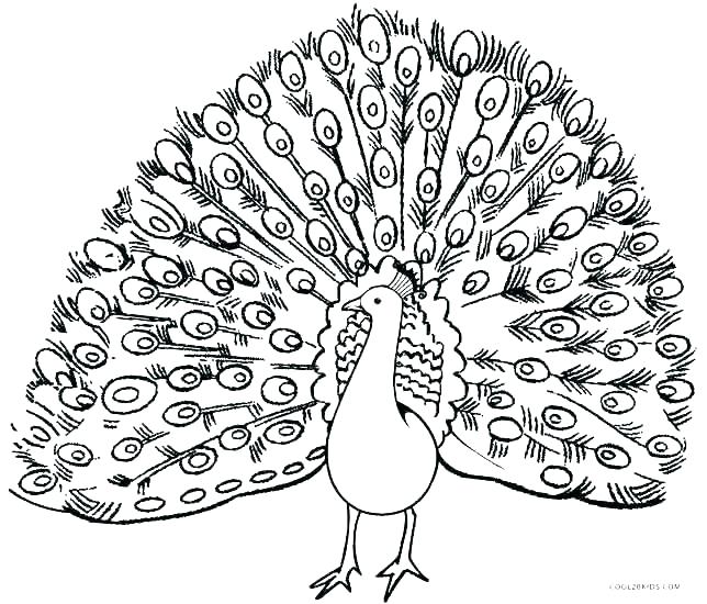 644x550 Peacock Pictures To Color Ultimate Coloring Pages Of Peacocks